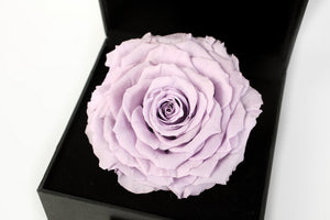 Personalized Timeless Rose With Custom Constellation