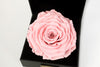 Personalized Timeless Rose With Custom Constellation