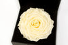 Personalized Timeless Rose With Custom Constellation