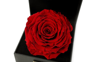 Personalized Timeless Rose With Custom Constellation