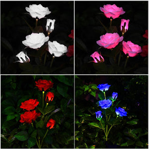 Solar Rose Outdoor Light