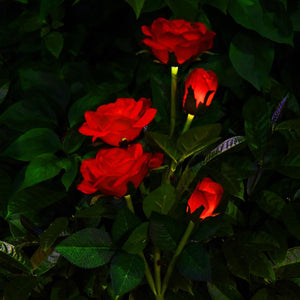 Solar Rose Outdoor Light