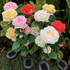 Solar Rose Outdoor Light